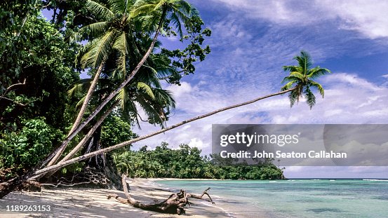 India, Beach in the Nicobar Islands India, Beach in the Nicobar Islands