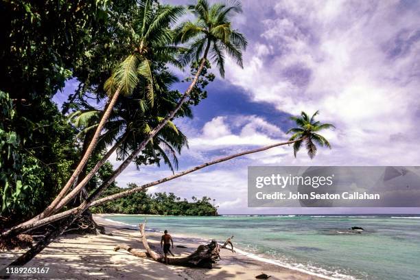 india, beach in the nicobar islands - andaman & nicobar stock pictures, royalty-free photos & images