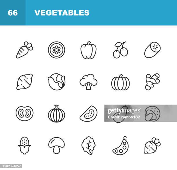 illustrazioni stock, clip art, cartoni animati e icone di tendenza di icone della linea vegetale. tratto modificabile. pixel perfetto. per dispositivi mobili e web. contiene icone come carota, limone, pepe, cipolla, patata, pomodoro, mais, spinaci, fagioli, funghi. - cetriolo