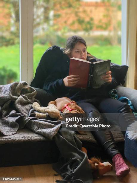 girl reading with her puppy - canine stock pictures, royalty-free photos & images