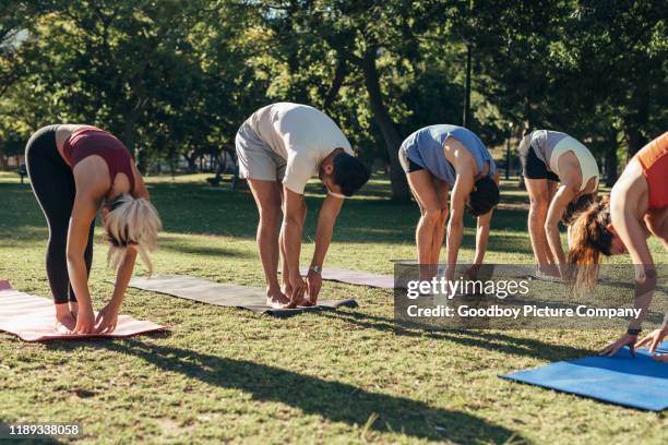 junge leute, die sich während einer park-yoga-session die zehen berühren - zehenspitzen berühren stock-fotos und bilder