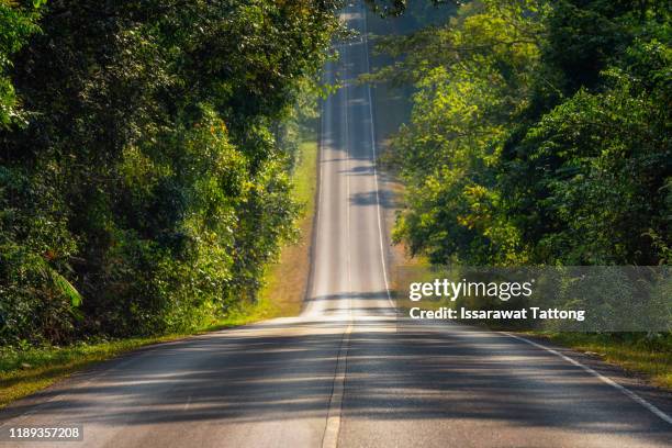 a straight steep road to entrance to khao yai national park, nakhon rachasrima,thailand. - steep road stock pictures, royalty-free photos & images