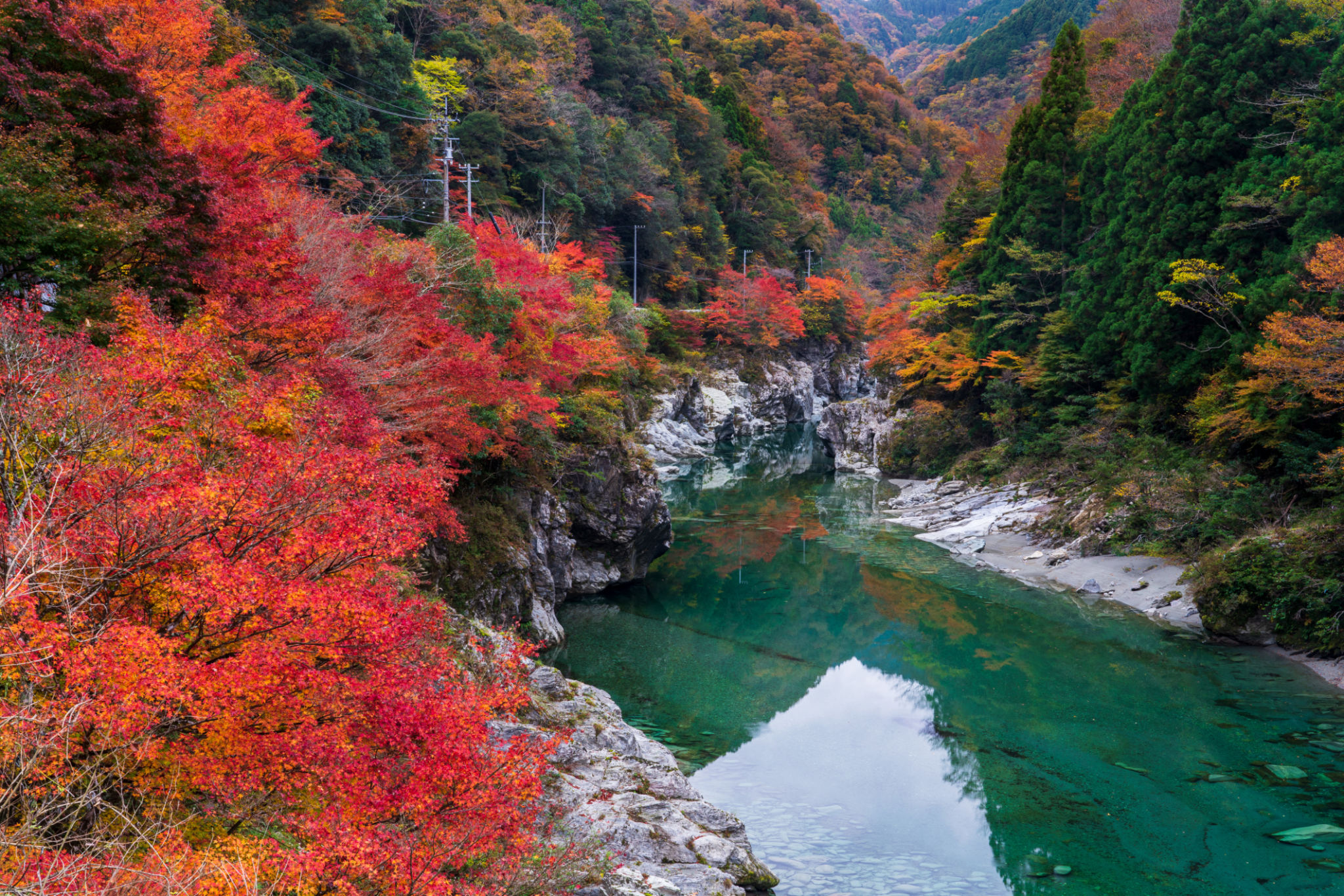autumn leaves Shikoku