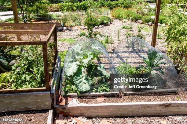 Sanibel Island, Bailey Homestead Preserve, demonstration garden.