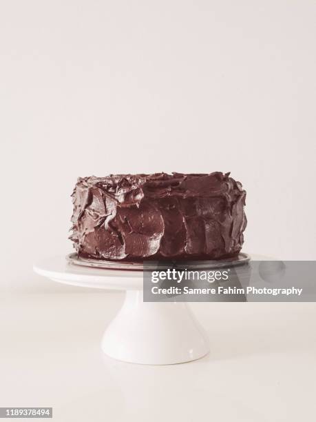 chocolate cake on display - indulgence white background stockfoto's en -beelden