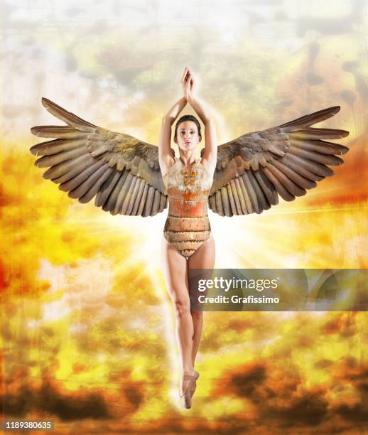 Icarus with the wings Royalty Free Vector Image