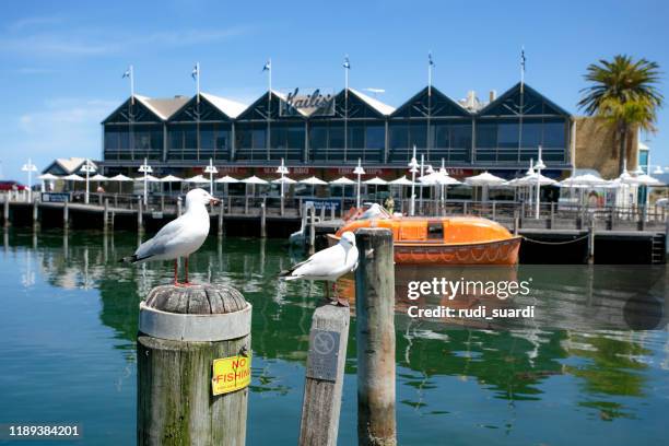 fremantle, westtern australia - anchored boats stock pictures, royalty-free photos & images