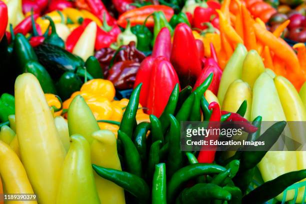 Many hot peppers at FarmerÍs Market.