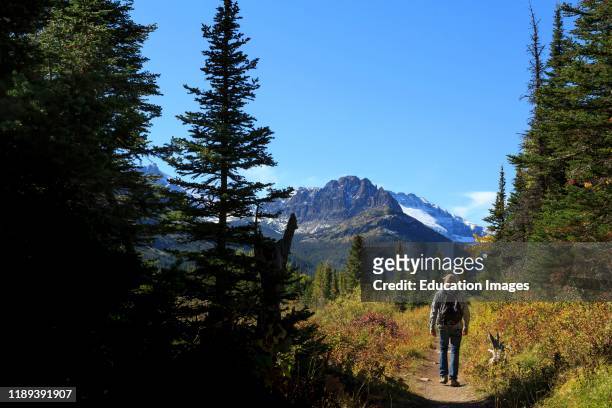 Hiker on Two Medicine Lake Trail, Eastside of Glacier National Park, Montana.