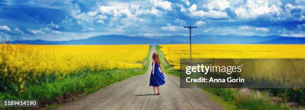 young woman with red hair and bare feet wearing sleeveless blue dress pauses on dirt road lined with vivid yellow canola flowers, holding skirt out and looking at view - long bright yellow dress stock pictures, royalty-free photos & images