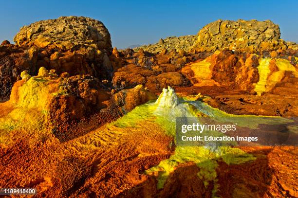 Circular to sub circular halite mound, geothermal field of Dallol, Danakil depression, Afar Triangle, Ethiopia .