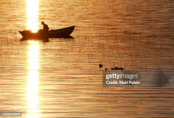 fishman and ducks - duckling stock pictures, royalty-free photos & images