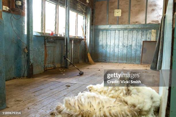 blue wash walls, pile of wool and shearing tools in the shearing shed - garden shed stock pictures, royalty-free photos & images