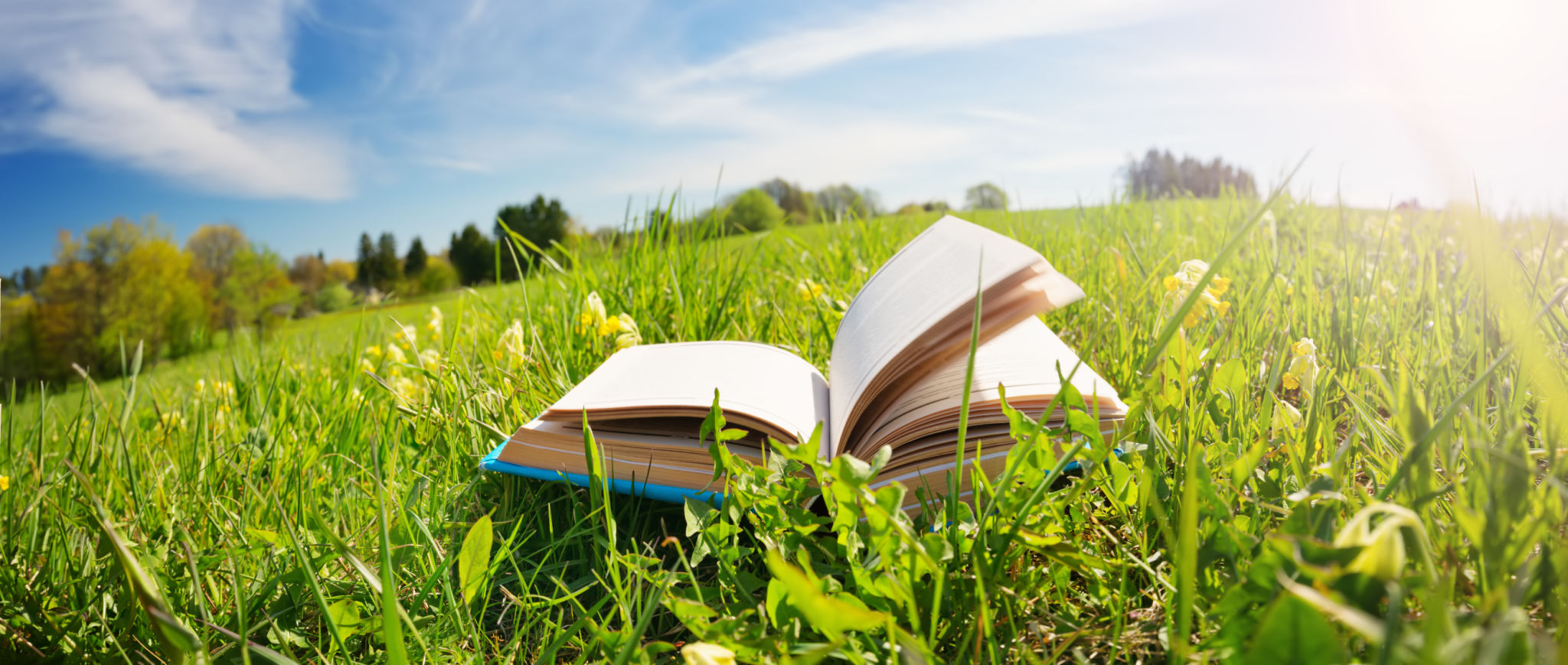 spring learning