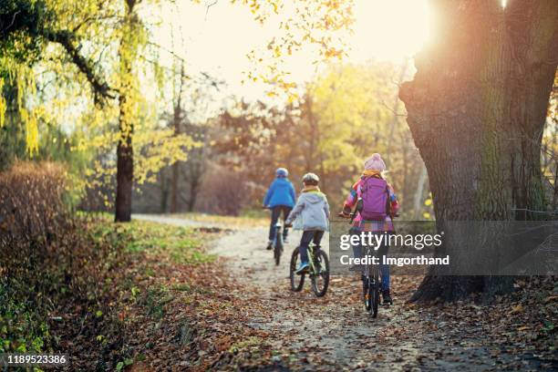 niños montando en bicicleta el día de otoño - camel active fotografías e imágenes de stock