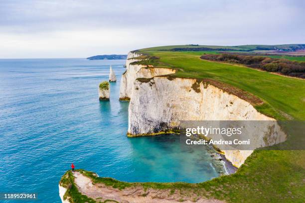 one person looking at view at old harry rocks, dorset, england - dorset uk stockfoto's en -beelden