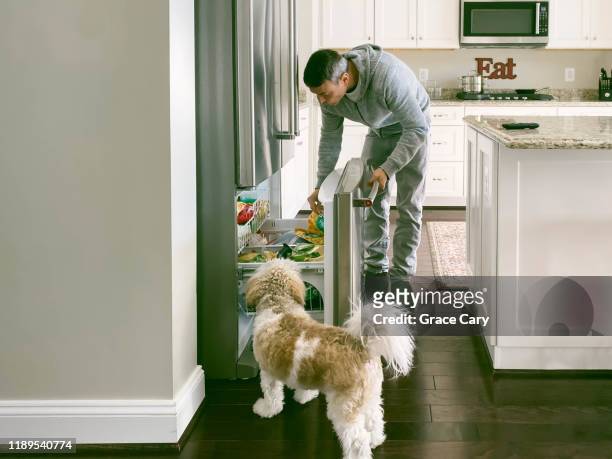 man looks for food in frig while pup looks on - congelador fotografías e imágenes de stock