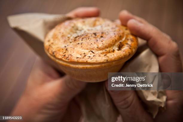 meat pie - meat pie stockfoto's en -beelden