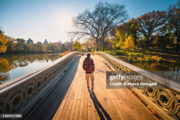 solitary man crossing the bow bridge in central park, new york city - manhattan autumn stock-fotos und bilder