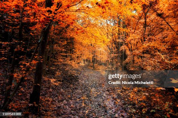 Lessinia Autumn 29,162 Venezia Panorama Stock Photos, High-Res Pictures, and Images ...