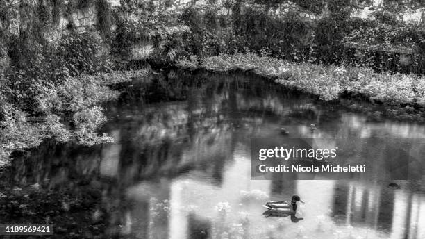 Loria Veneto Loria Veneto Photos and Premium High Res Pictures - Getty Images