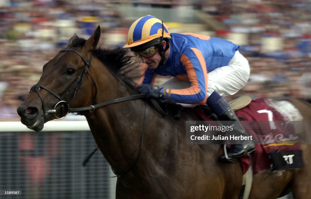 York Racing X