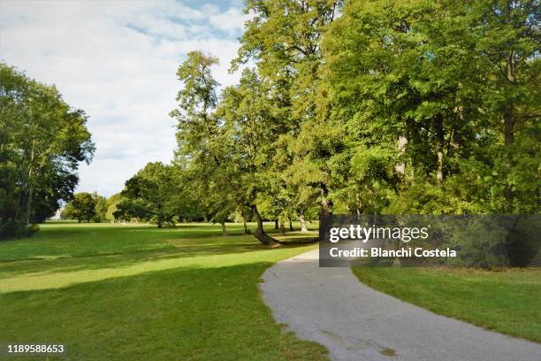 pedestrian path in the middle of the forest - formal garden stock pictures, royalty-free photos & images