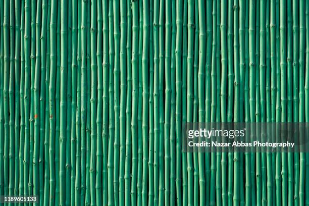 bamboo wall background. - bambù materiale foto e immagini stock
