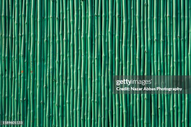 bamboo wall background. - bamboo material - fotografias e filmes do acervo