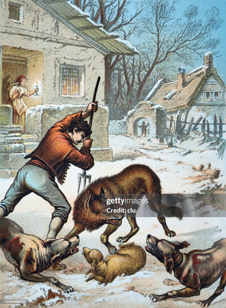 Man fighting with a wolf in the village, winter
