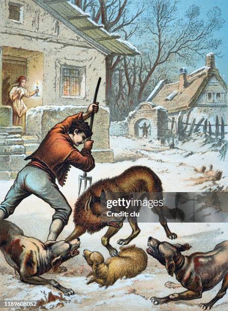 man fighting with a wolf in the village, winter - wolf sheep stock illustrations