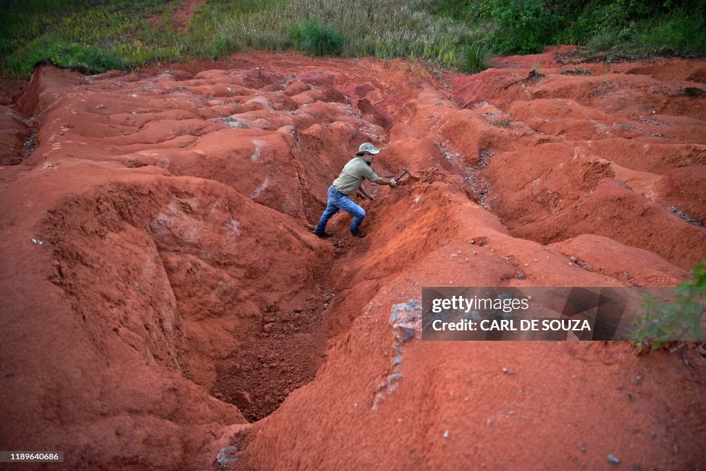 BRAZIL-PALEONTOLOGY-FOSSILS