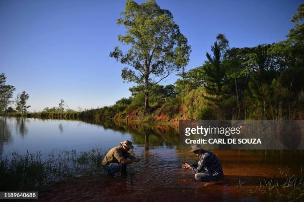 Paleontologists from CAPPA, a Brazilian research support centre for paleontology, are seen at an excavation site in Agudo, Rio Grande do Sul on...