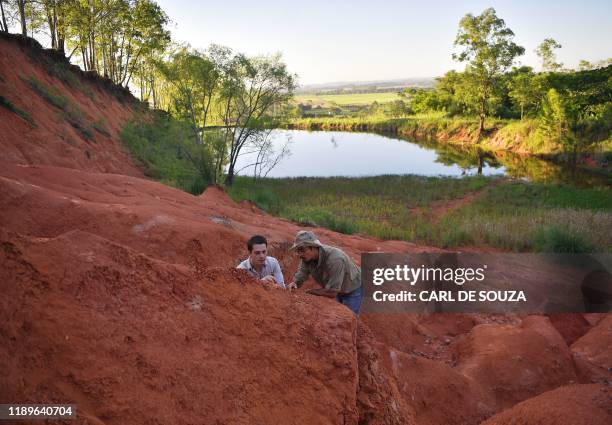 Paleontologists Jose Darival Ferreira and Rodrigo Temp Muller examine a newly found fossil at an excavation site in Agudo, Brazil, on December 3,...