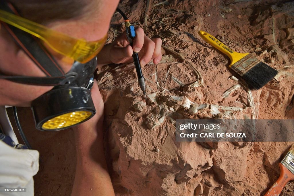 BRAZIL-PALEONTOLOGY-FOSSILS