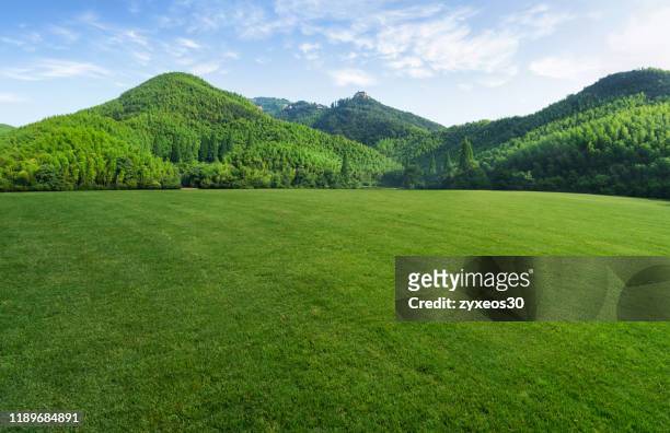 mountain and plain lawn of italy - 草原 個照片及圖片檔