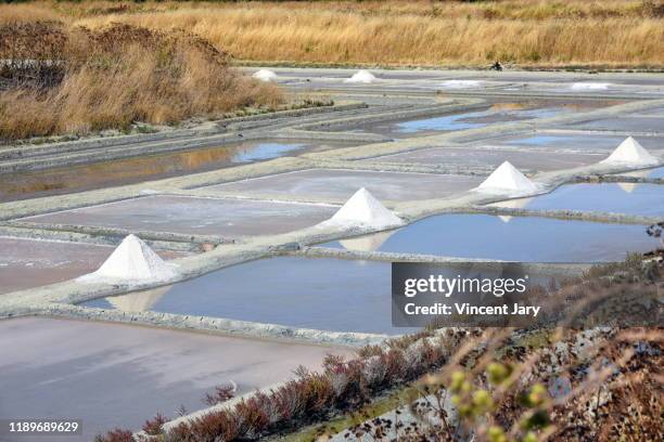 poitou charente marais salant france - salina foto e immagini stock