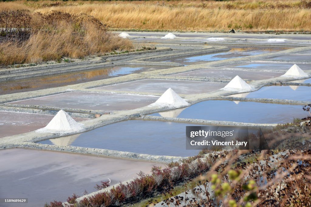 Poitou Charente marais salant France