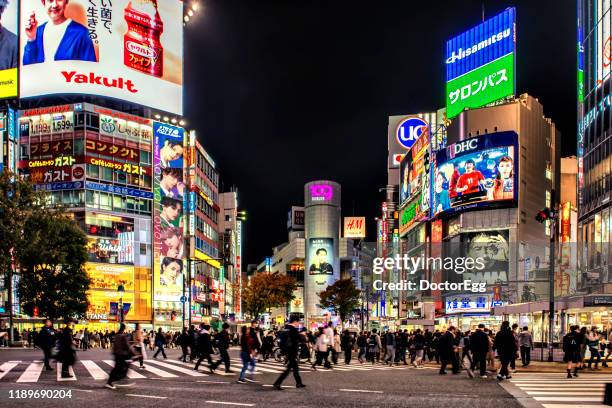 shibuya scramble crossing withilluminated of commercial advertising signs at night, shibuya, tokyo - bezirk shibuya stock-fotos und bilder