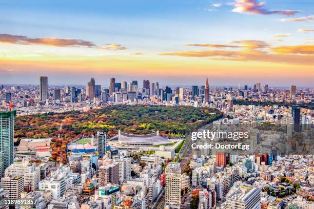 shinjuku gyoen park with shinjuku skyscraper buildings background at sunset autumn, tokyo, japan - tokyo skyline sunset stock pictures, royalty-free photos & images