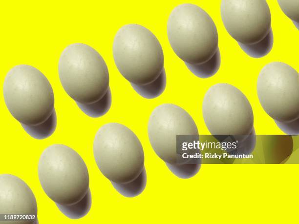 full frame of eggs on yellow background - human embryo stock pictures, royalty-free photos & images