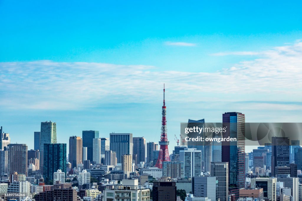 Aerial view of Tokyo skyline