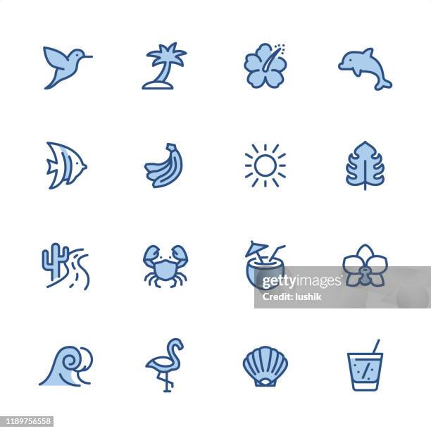 tropical summer - pixel perfect blue outline icons - butterflyfish stock illustrations