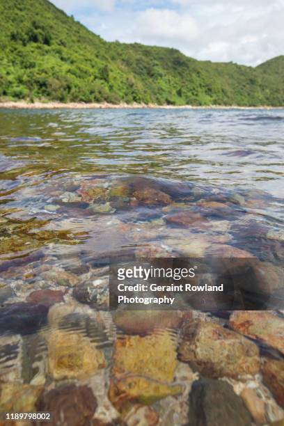 clear waters of hong kong - seabed stock pictures, royalty-free photos & images