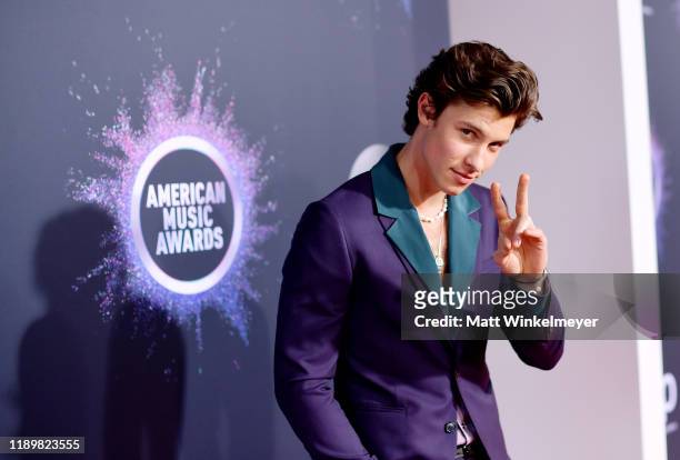 Shawn Mendes attends the 2019 American Music Awards at Microsoft Theater on November 24, 2019 in Los Angeles, California.