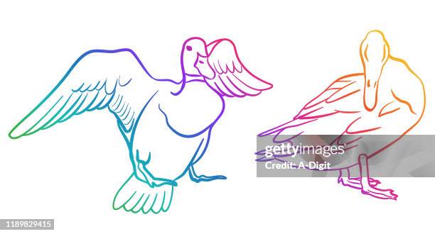 mallard duck grooming rainbow - yellow duck stock illustrations
