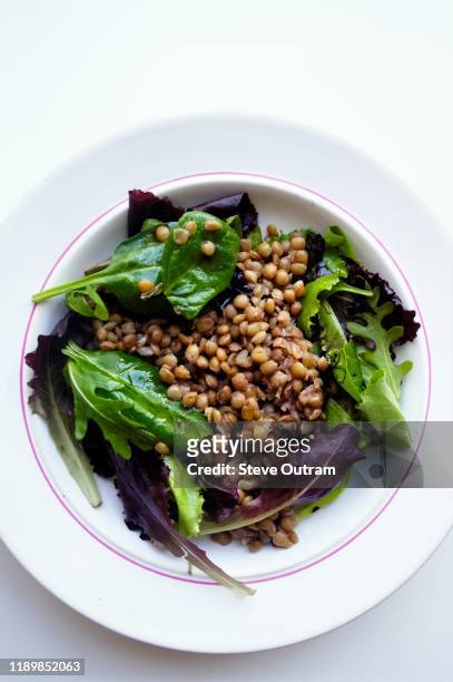 lentil salad with red and green lettuce and arugula - feuille de salade fond blanc photos et images de collection