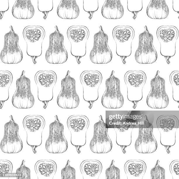 honeynut butternut squash seamless pattern background. vector ink and watercolor drawing. - pumpkin seed stock illustrations