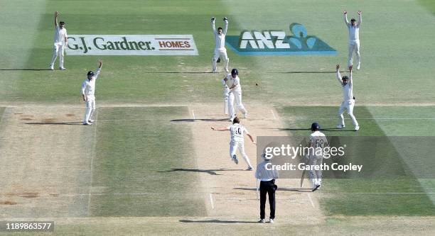 Neil Wagner of New Zealand takes the final wicket of Stuart Broad of England to win the first Test match between New Zealand and England at Bay Oval...