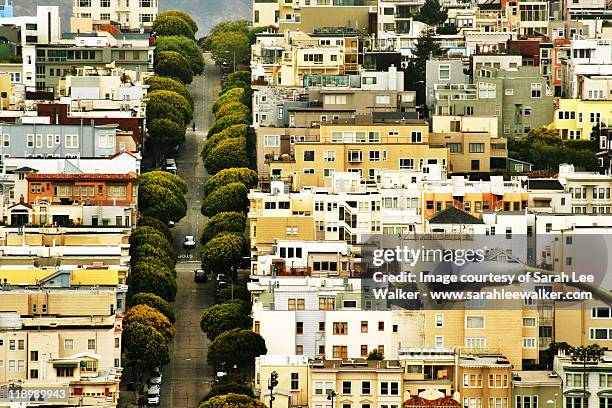 vertical view of lombard street, san francisco, ca - lombard street san francisco stock-fotos und bilder